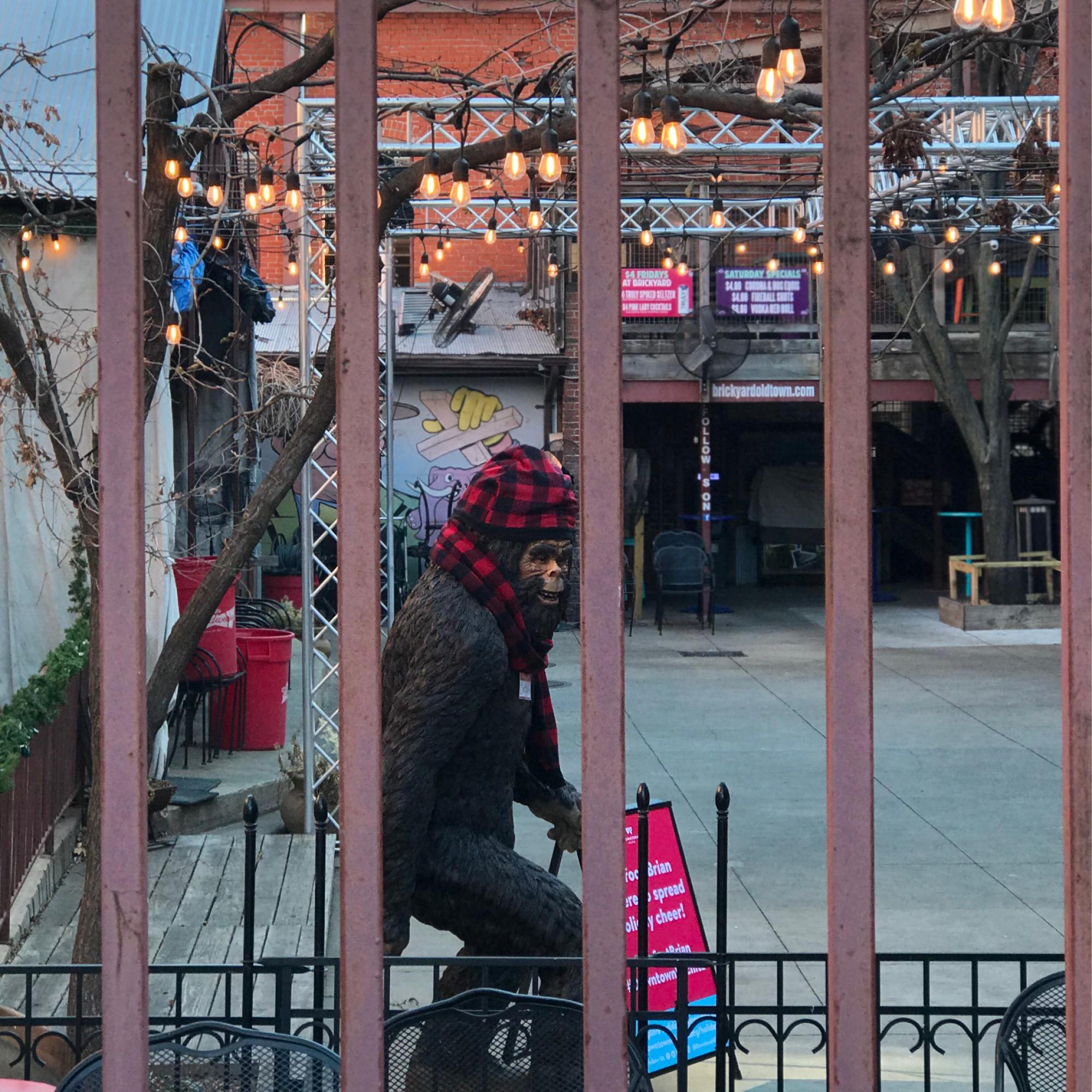 bigfoot brian in downtown wichita, kansas at public at the brickyard
