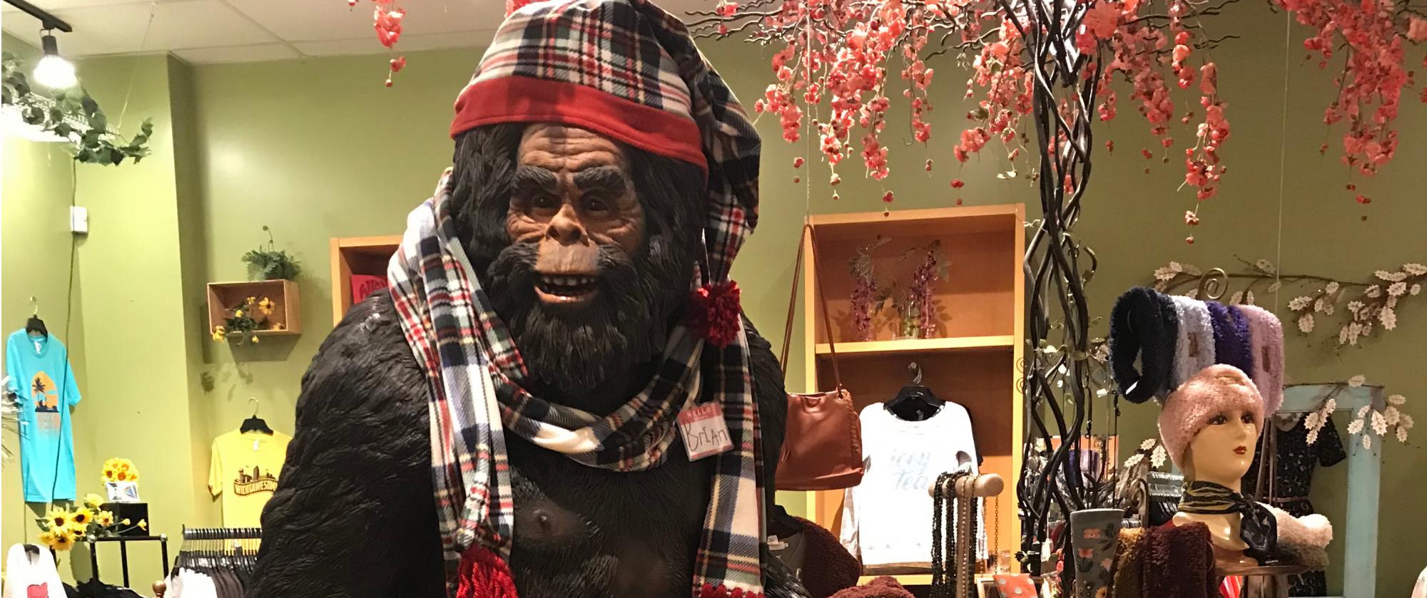 bigfoot brian in downtown wichita, kansas at lucinda's in old town square